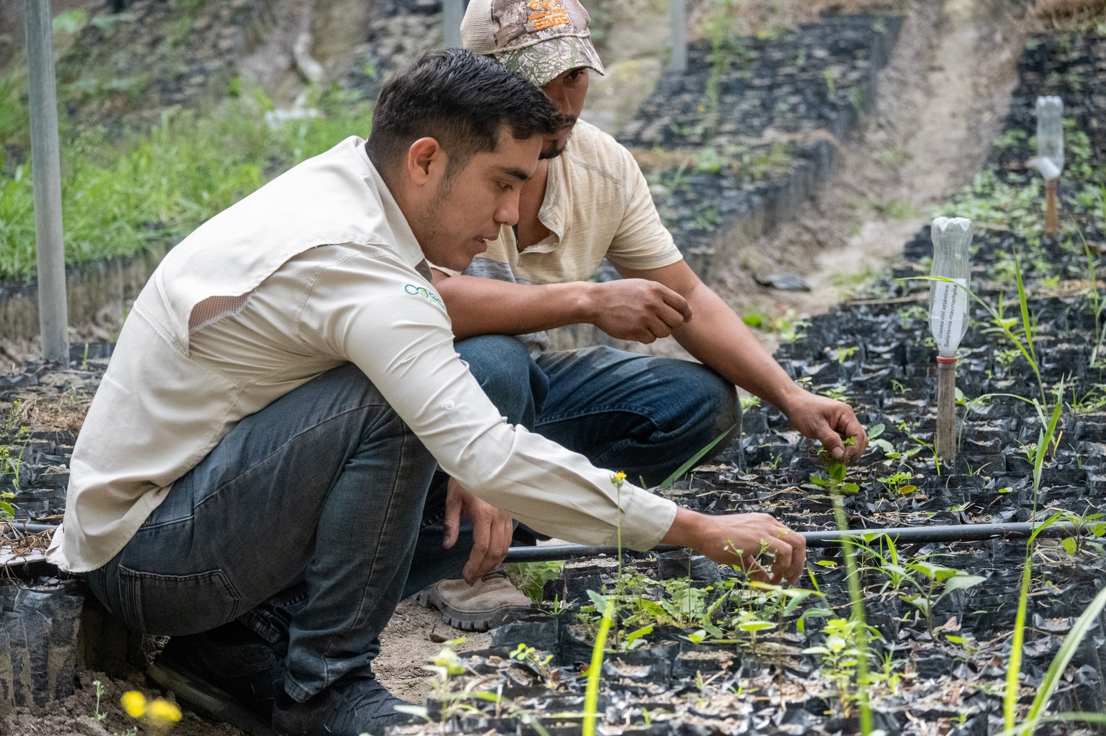 Estudio de impacto ambiental